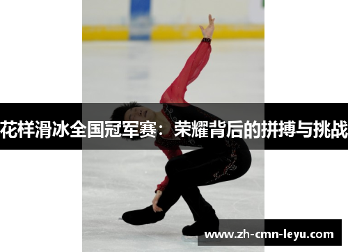 花样滑冰全国冠军赛：荣耀背后的拼搏与挑战