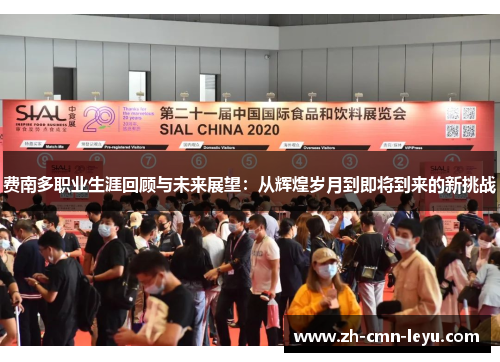 费南多职业生涯回顾与未来展望：从辉煌岁月到即将到来的新挑战