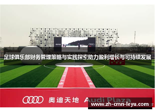 足球俱乐部财务管理策略与实践探索助力盈利增长与可持续发展