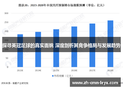 探寻英冠足球的真实面貌 深度剖析其竞争格局与发展趋势