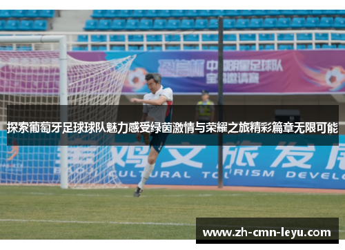 探索葡萄牙足球球队魅力感受绿茵激情与荣耀之旅精彩篇章无限可能