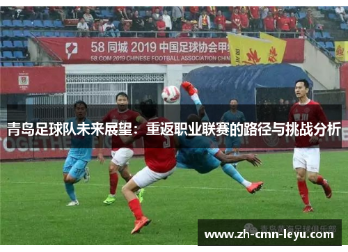 青岛足球队未来展望：重返职业联赛的路径与挑战分析