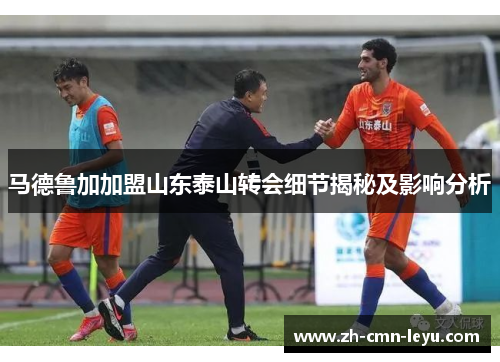 马德鲁加加盟山东泰山转会细节揭秘及影响分析
