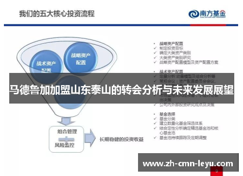 马德鲁加加盟山东泰山的转会分析与未来发展展望
